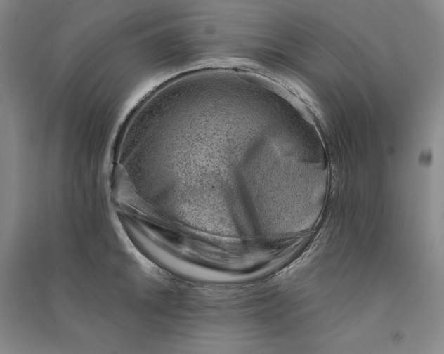 X0000090881046200708171641