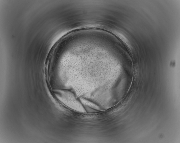 X0000090881047200708171642