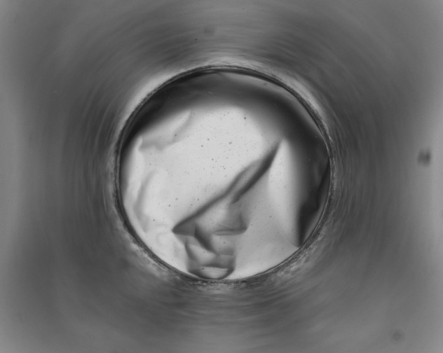 X0000090881048200708171642