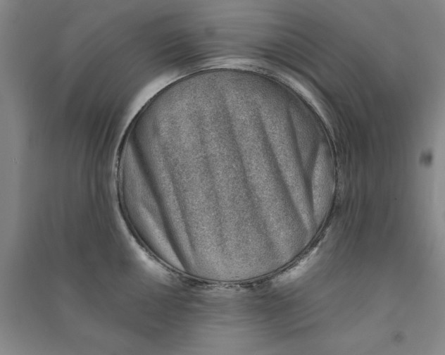 X0000090881050200708171642