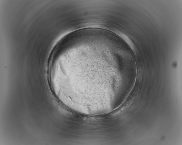 X0000090881051200708171642