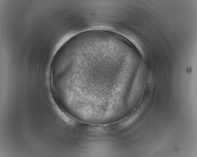 X0000090881054200708171642
