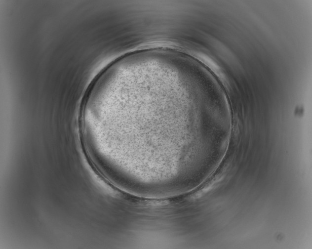 X0000090881055200708171642