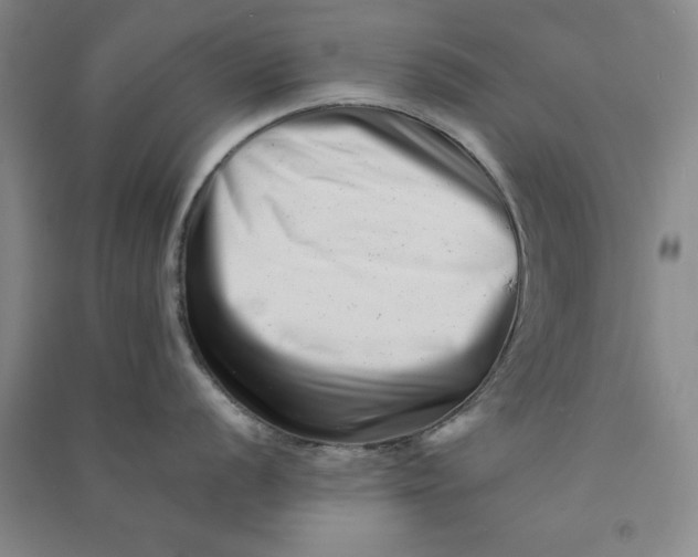 X0000090881056200708171642