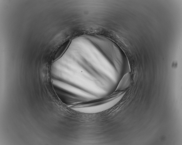 X0000090881058200708171641