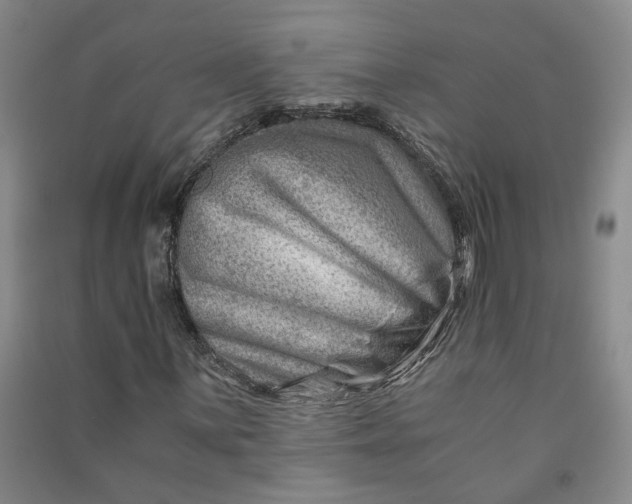X0000090881059200708171641