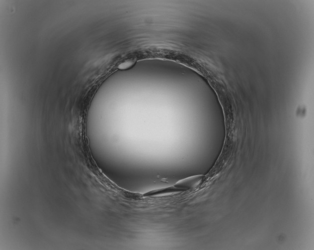 X0000090881061200708171641