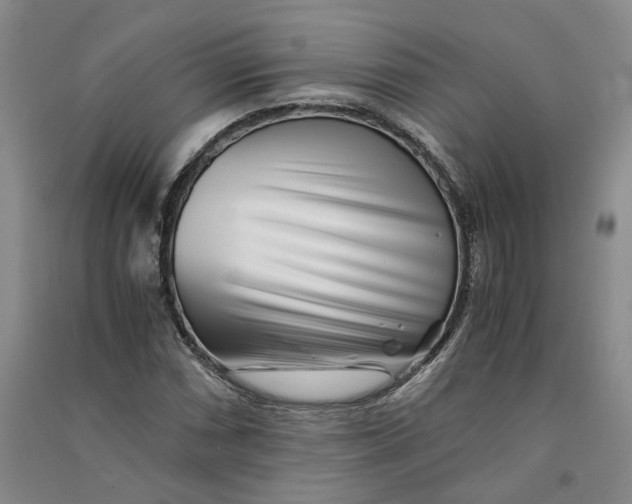 X0000090881066200708171641