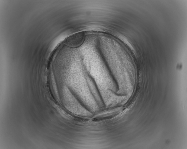 X0000090881067200708171641