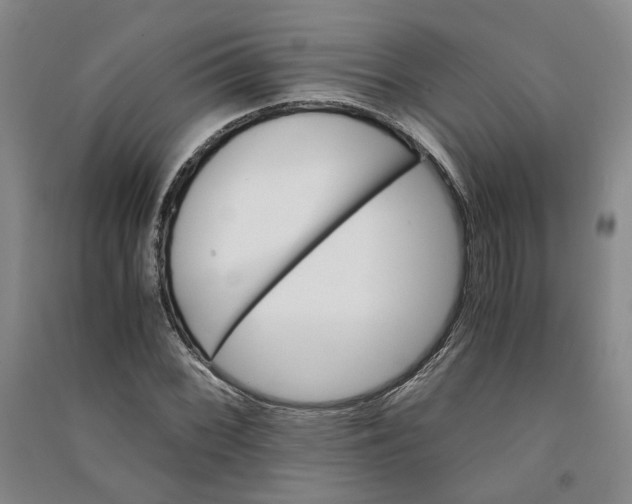 X0000090881068200708171641
