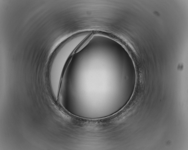 X0000090881069200708171641