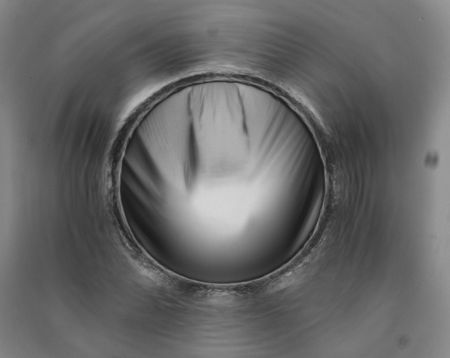 X0000090881070200708171641