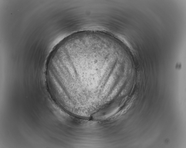X0000090881071200708171641