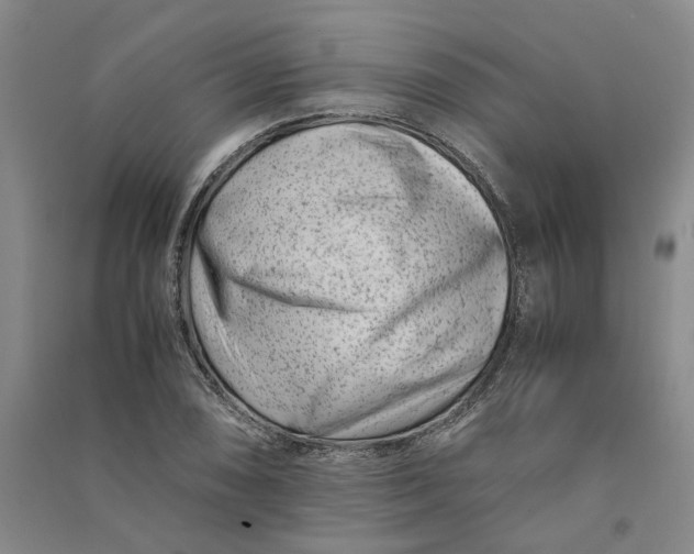 X0000090881074200708171641