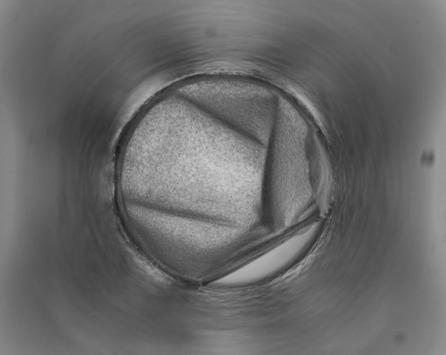 X0000090881075200708171641