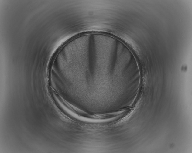X0000090881077200708171641