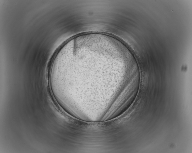 X0000090881078200708171641
