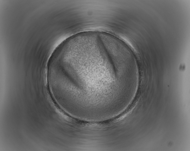 X0000090881079200708171641