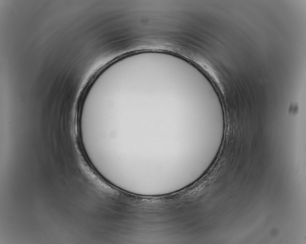 X0000090881080200708171641