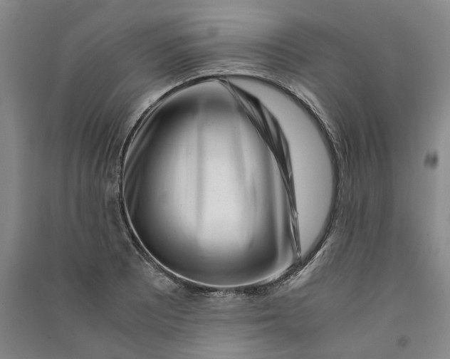 X0000090881081200708171641