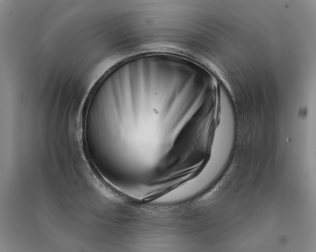 X0000090881082200708171641