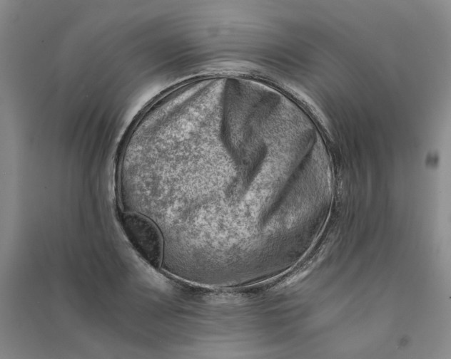X0000090881083200708171641
