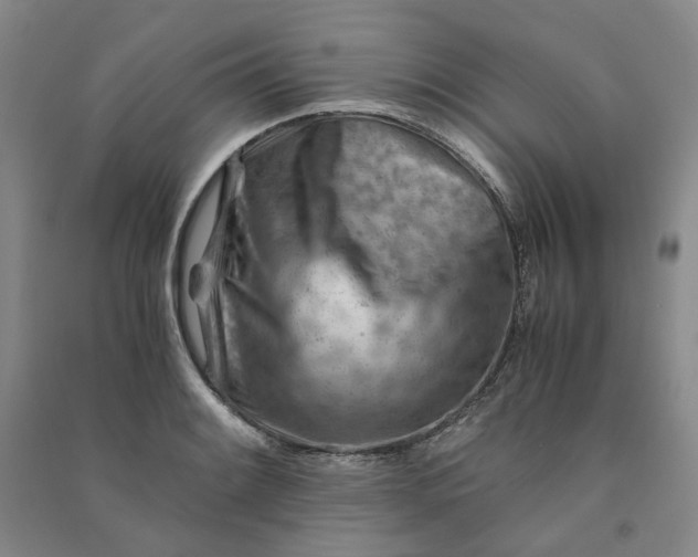 X0000090881084200708171641