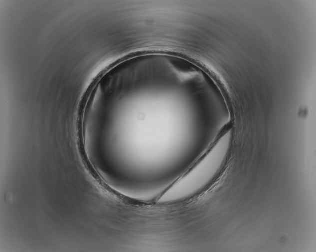 X0000090881085200708171641