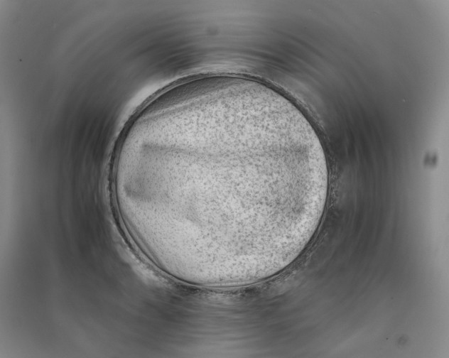X0000090881086200708171641