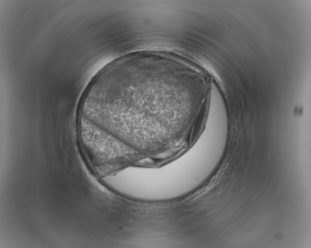 X0000090881087200708171641