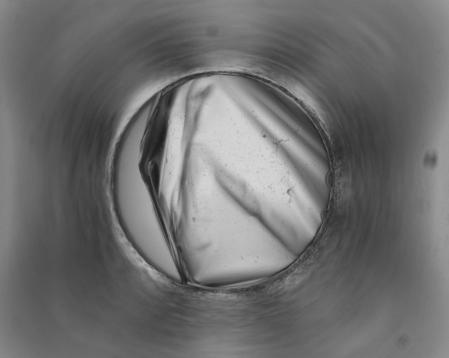 X0000090881088200708171641