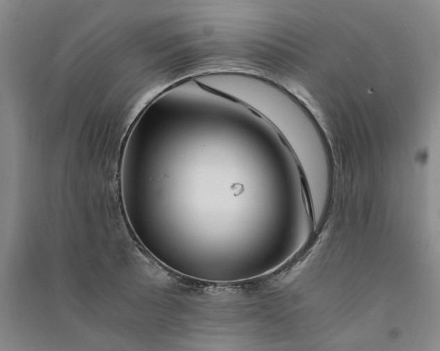 X0000090881089200708171641