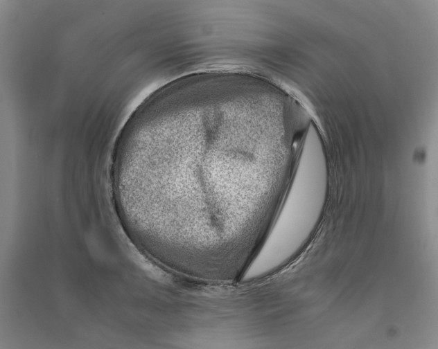 X0000090881091200708171641
