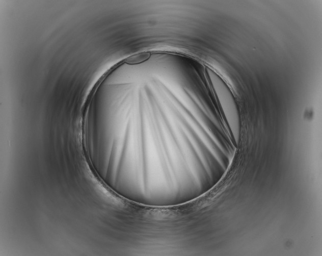 X0000090881092200708171641