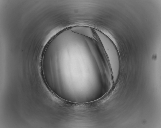 X0000090881093200708171641