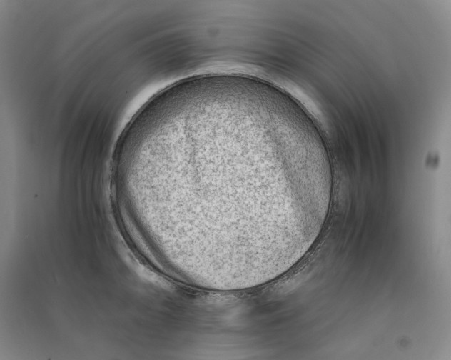X0000090881094200708171641