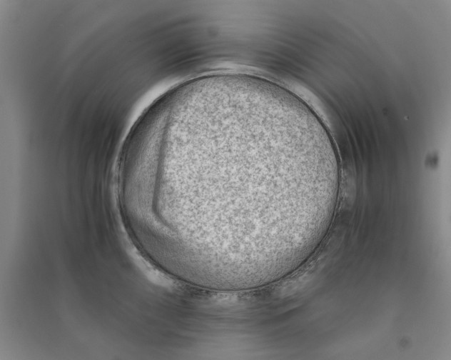 X0000090881098200708171641
