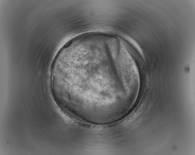 X0000090881099200708171640