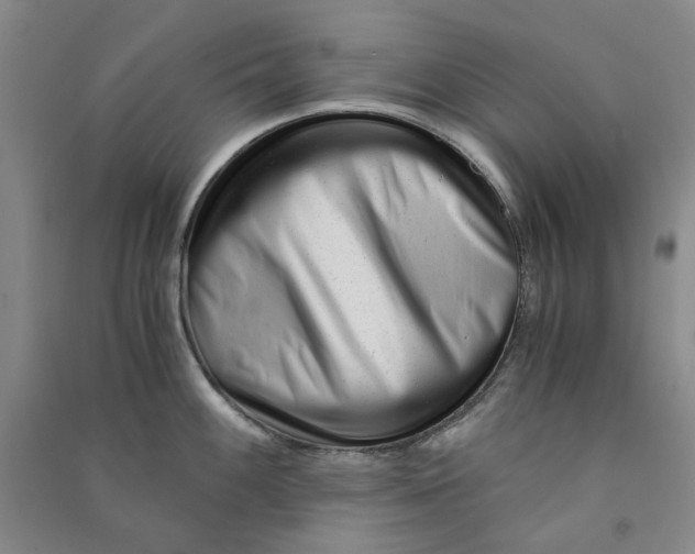 X0000090881100200708171640
