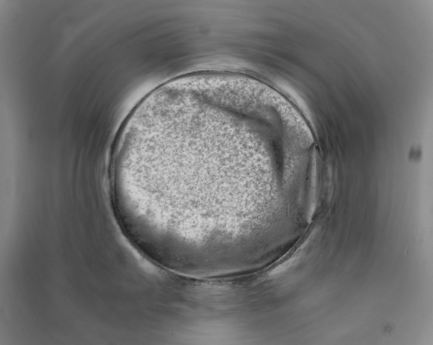 X0000090881103200708171640