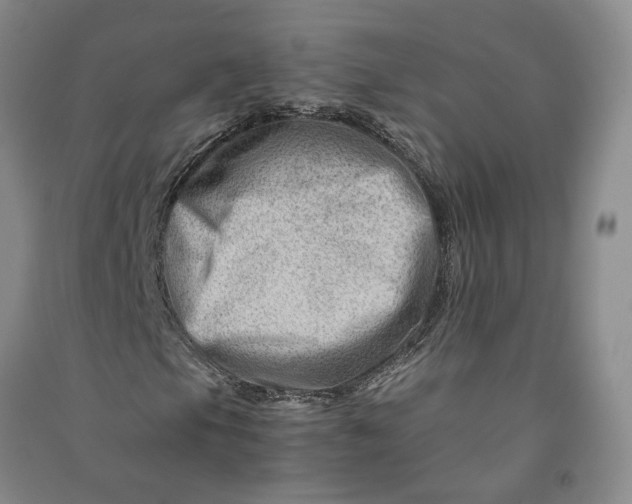 X0000090881105200708171640