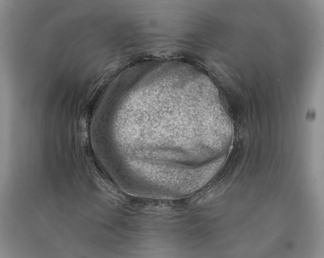 X0000090881106200708171640
