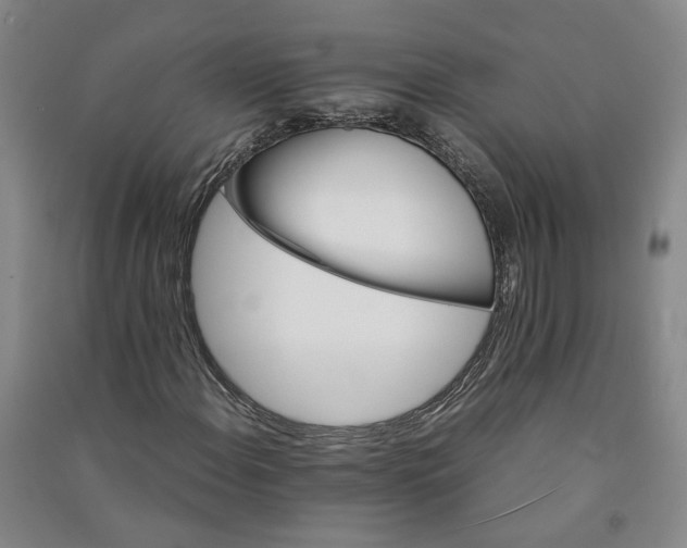 X0000090881108200708171640