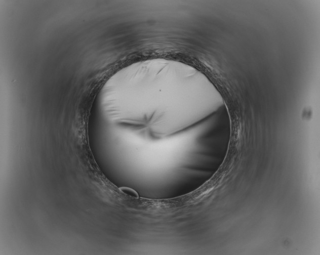 X0000090881109200708171640