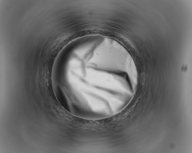 X0000090881111200708171640