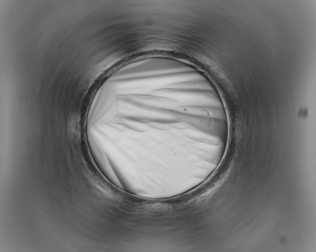 X0000090881113200708171640