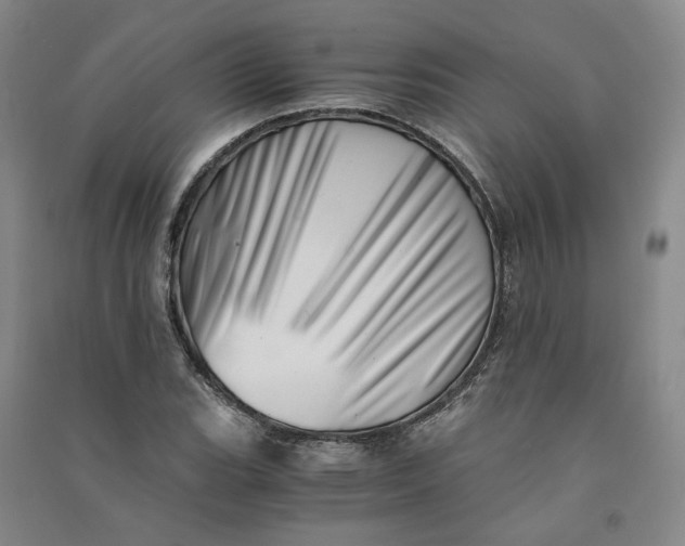 X0000090881119200708171640