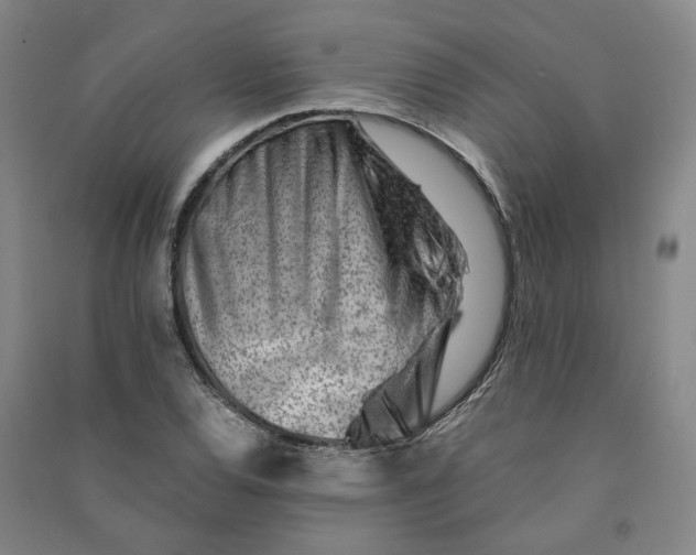 X0000090881120200708171640