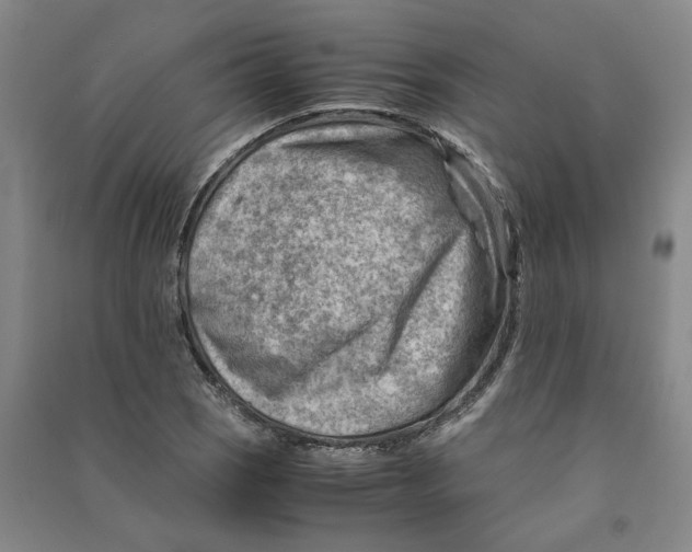 X0000090881121200708171640