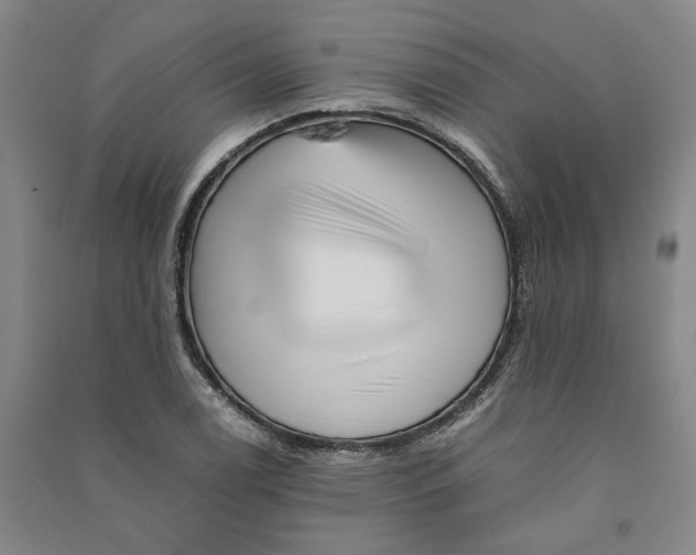 X0000090881122200708171640